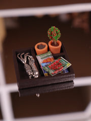 Potted Plant Set